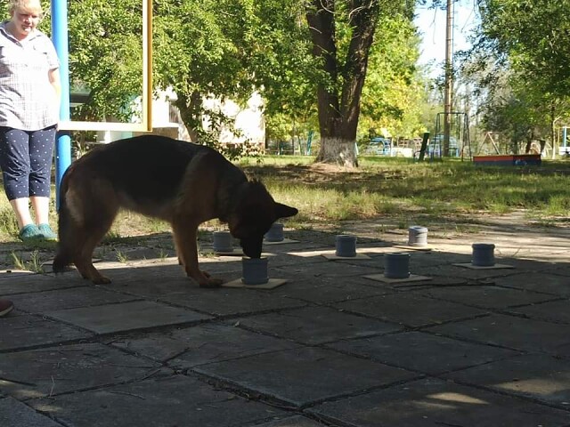 11.09.trening nouswork 7.jpg